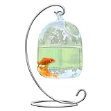 MISNODE Vaso da appendere in vetro con supporto, vaso creativo per pesci rossi in vetro trasparente,...