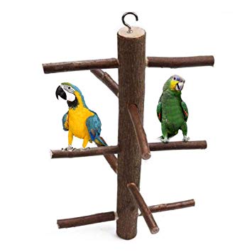 accesori per pappagalli e inseparabili
